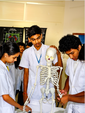 Chrysalis High Campus Moment